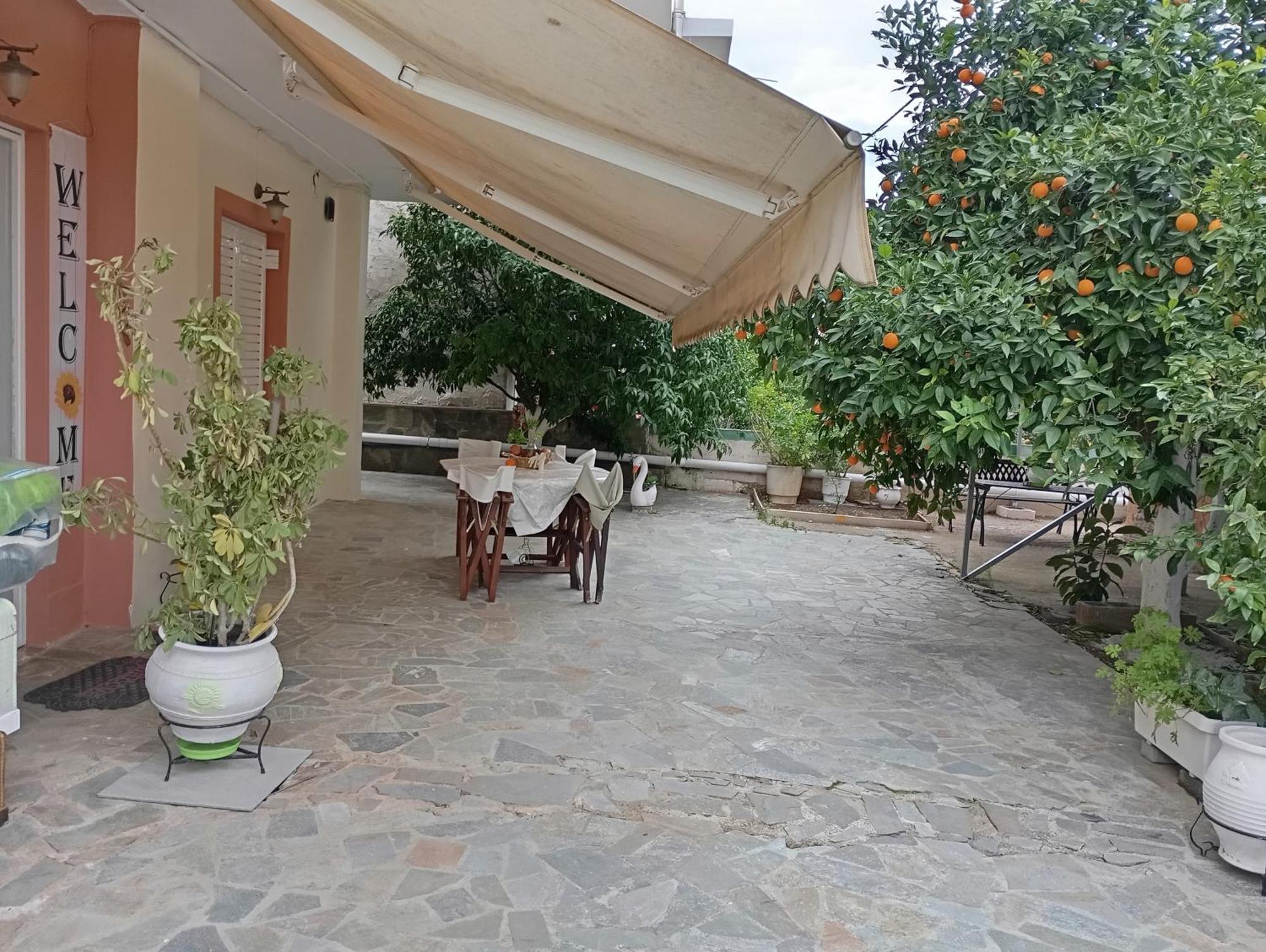 Margaritas * Nafplio